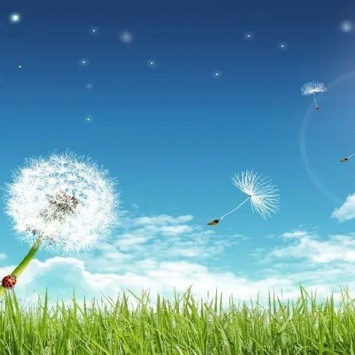 آهنگ جدید  دلگیرم از تو بی نهایت تا قیامت خداحافظ